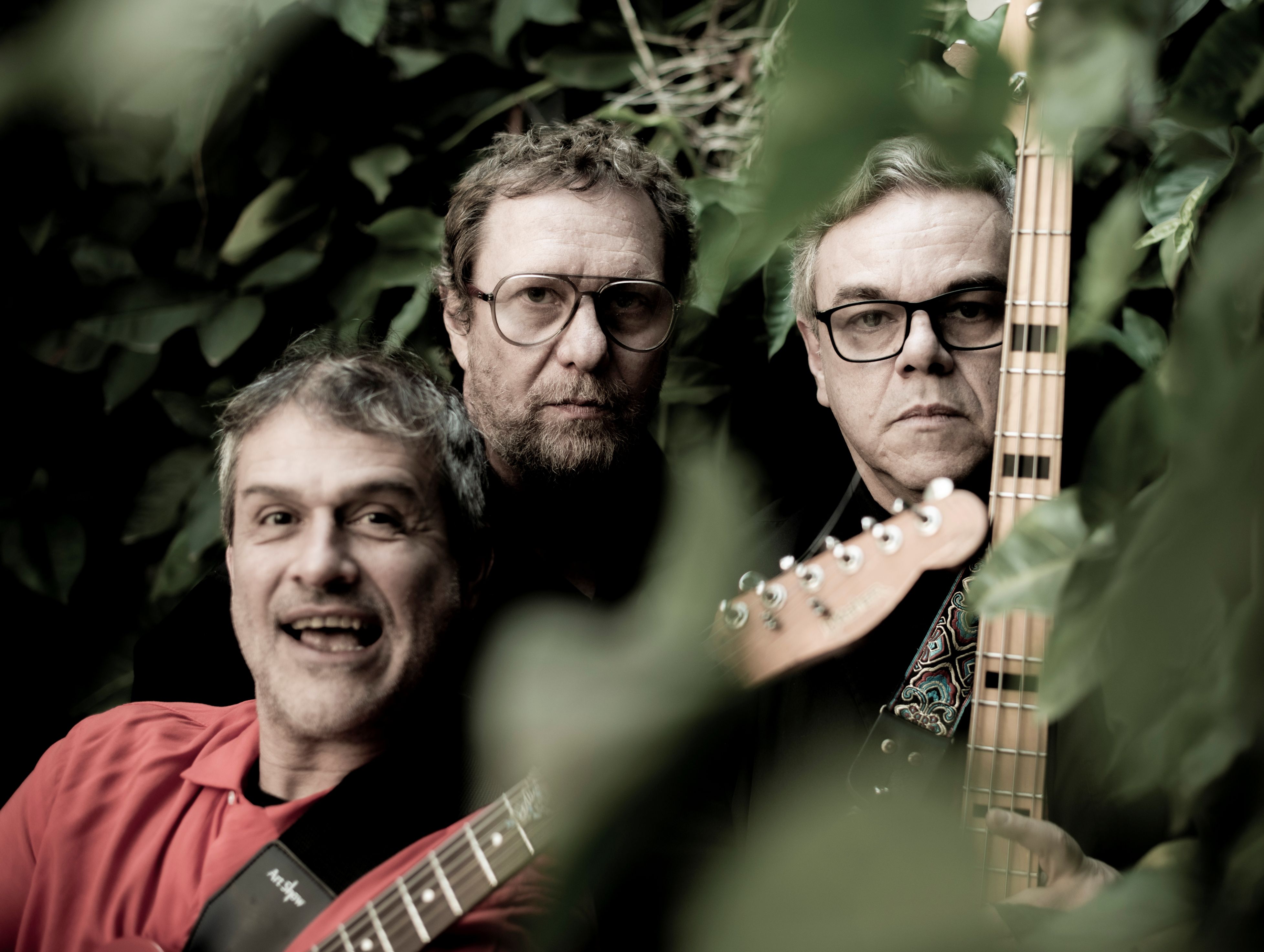 GRAFORRÉIA XILARMÔNICA